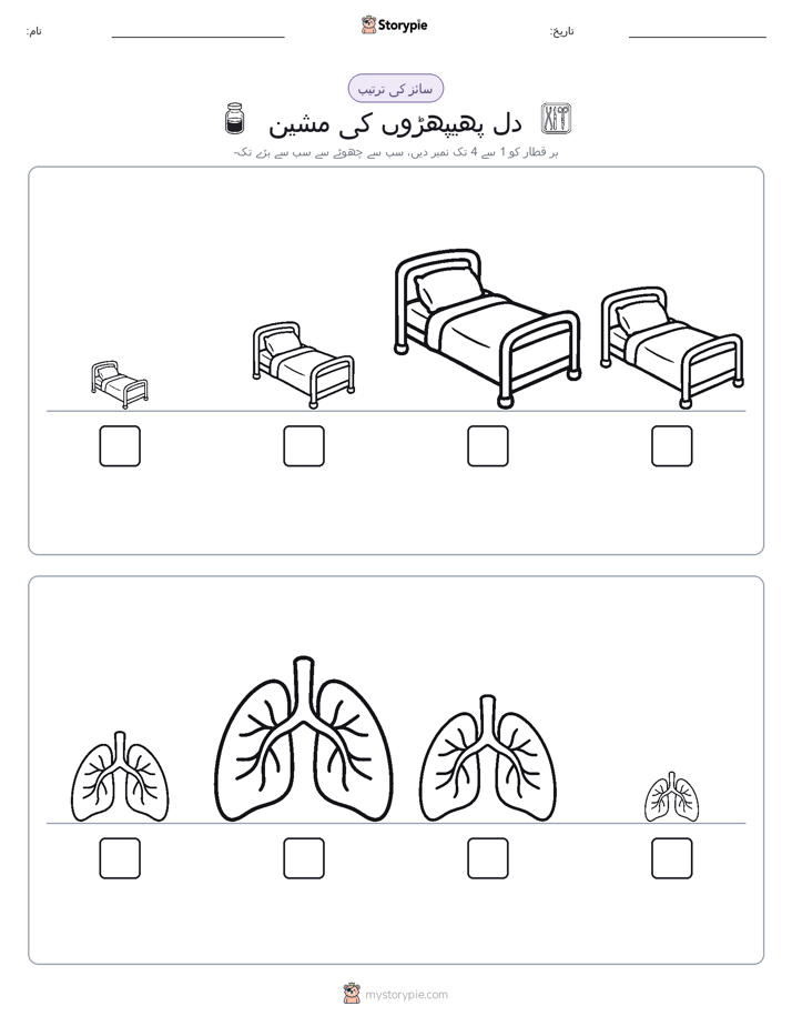 سائز کی ترتیب