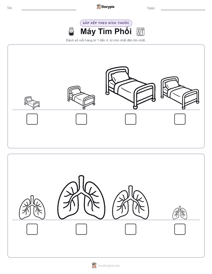 Thứ Tự Kích Thước