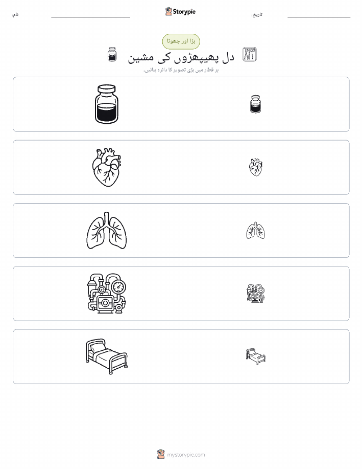 ترتیب دینا