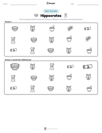 Hippocrates printable worksheet preview