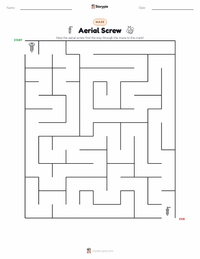 Aerial Screw printable worksheet preview