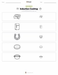 Induction Cooktop printable worksheet preview