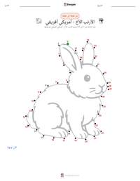 معاينة ورقة العمل القابلة للطباعة الأرنب برير