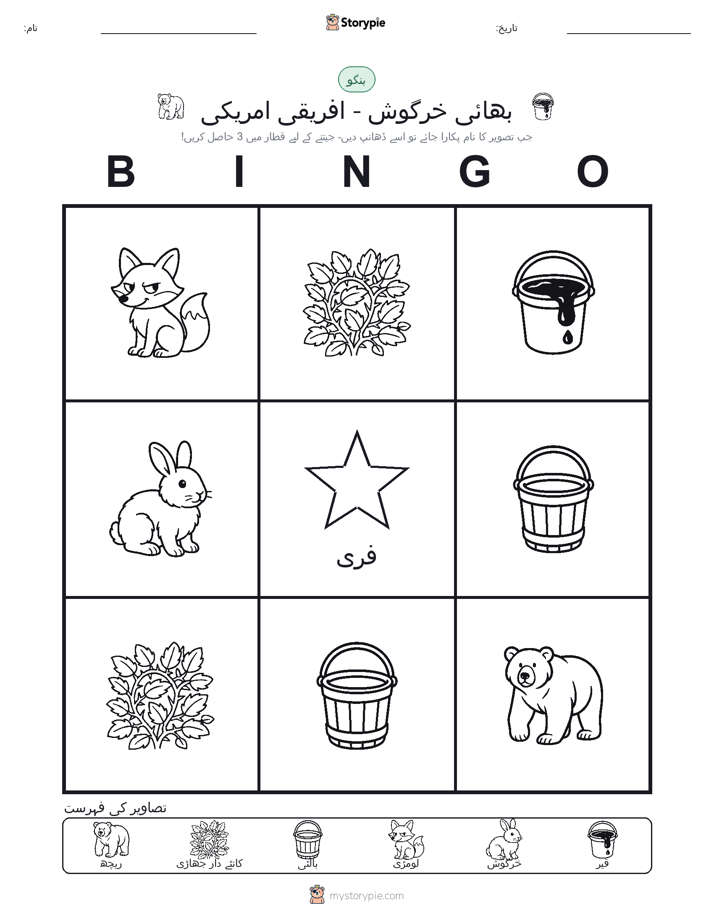 تصویری بنگو
