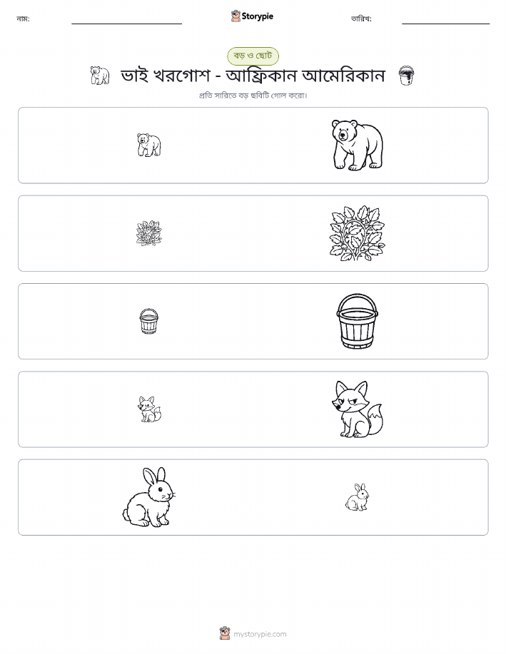 সাজানো