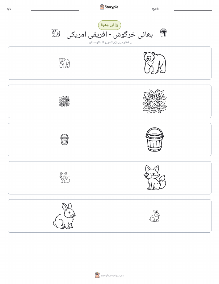 ترتیب دینا