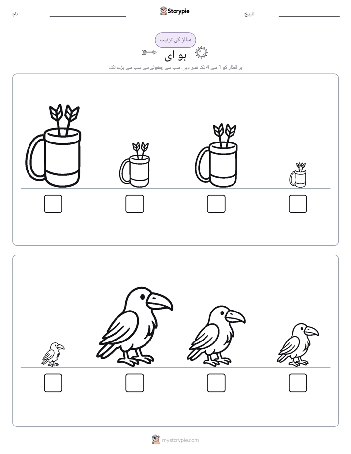 سائز کی ترتیب