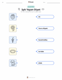 Işık Yayan Diyot yazdırılabilir çalışma sayfası önizlemesi