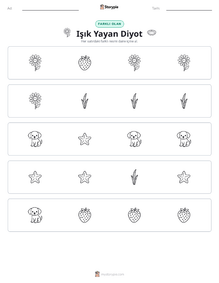 Farklı Olanı Bul