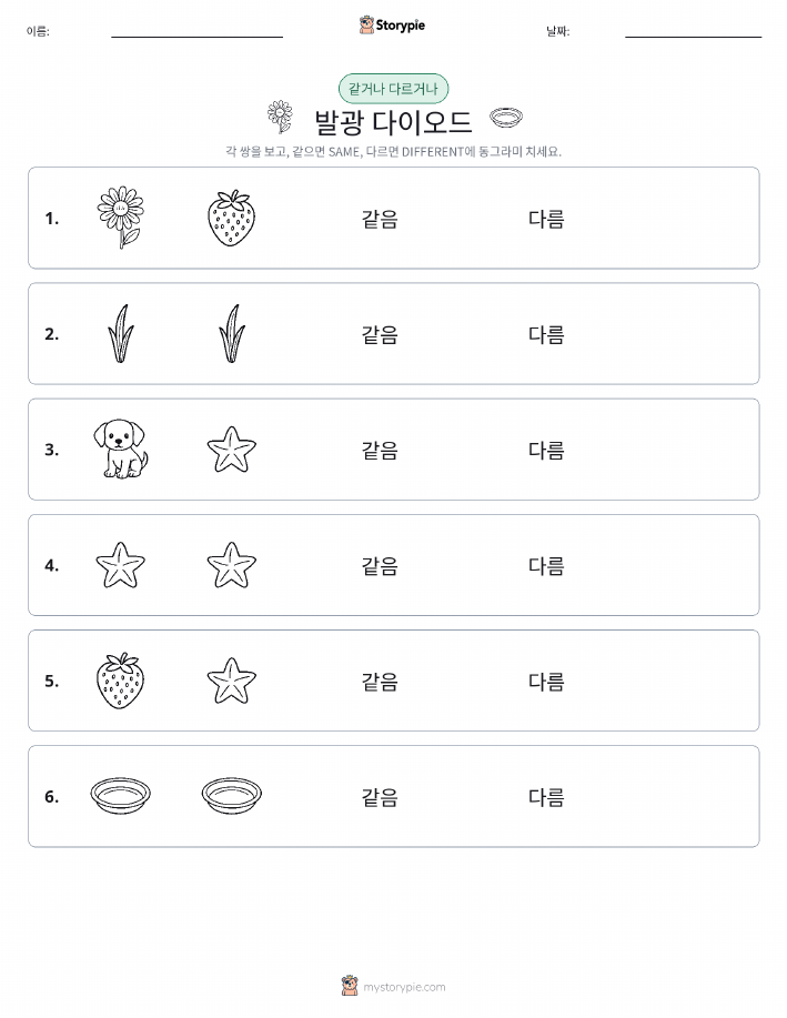 같은 것 또는 다른 것