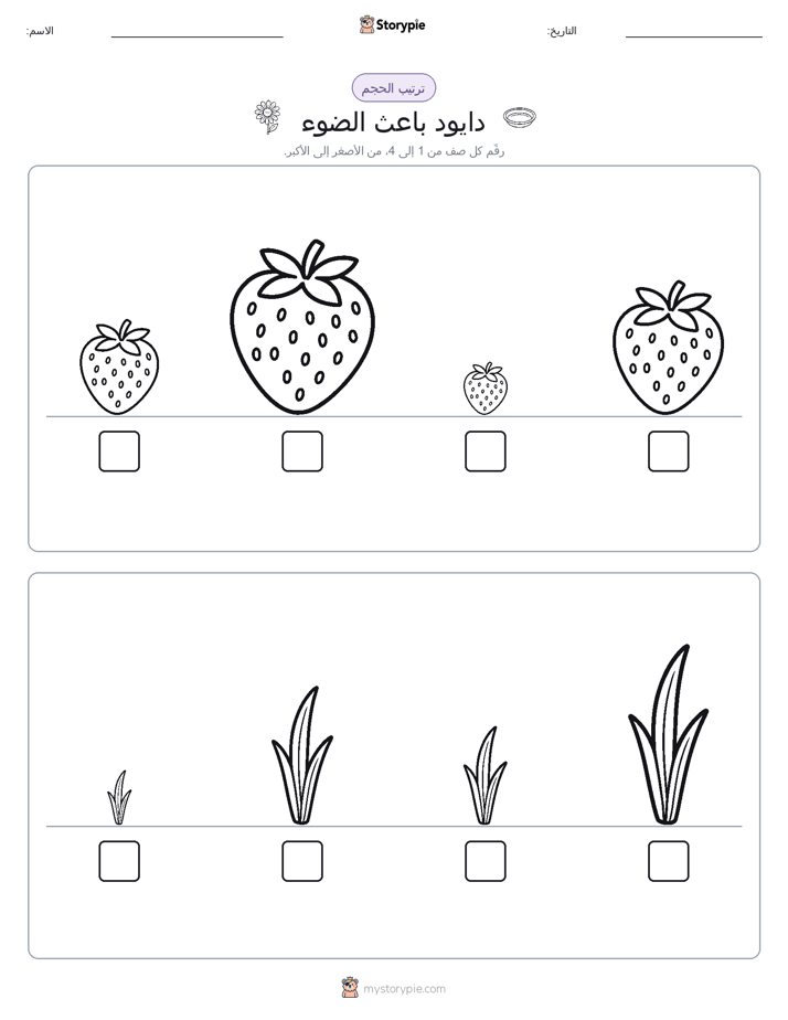 ترتيب الحجم