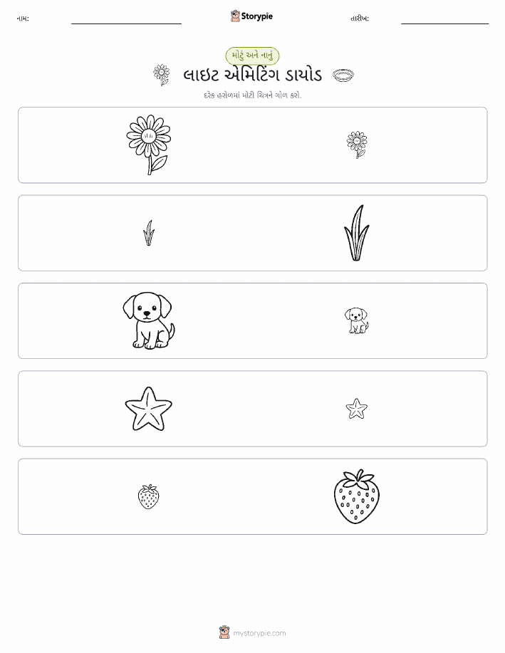 વર્ગીકરણ