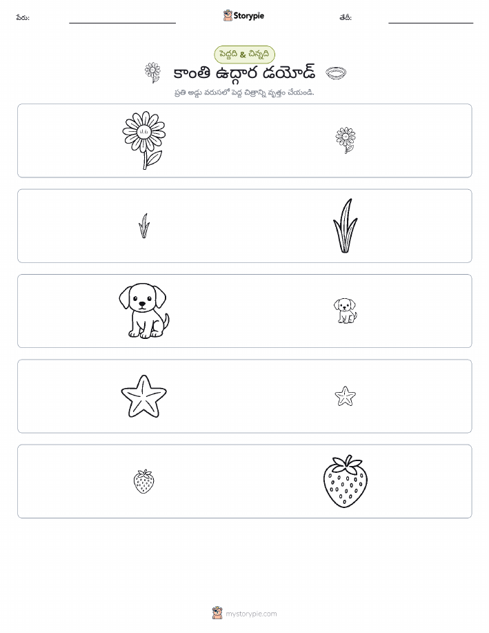 వర్గీకరణ