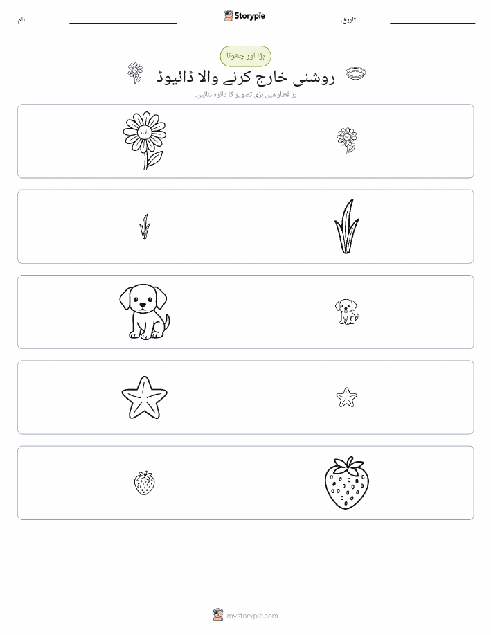 ترتیب دینا