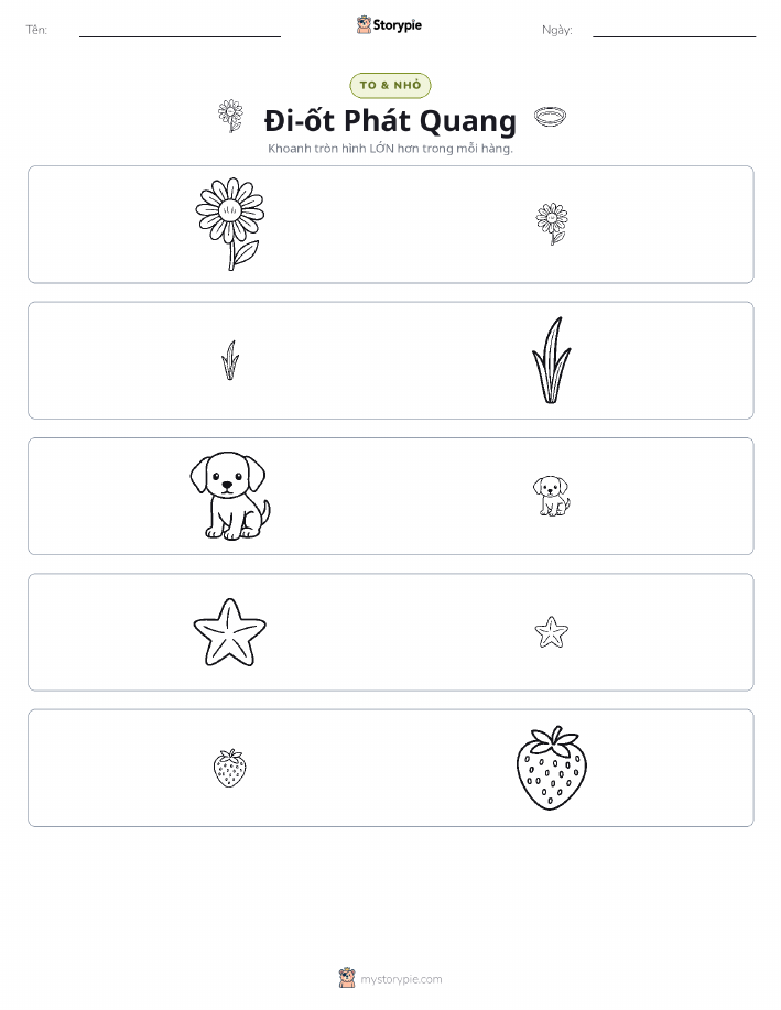 Phân Loại