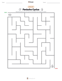 Fenische Cyclus afdrukbare werkblad voorbeeld