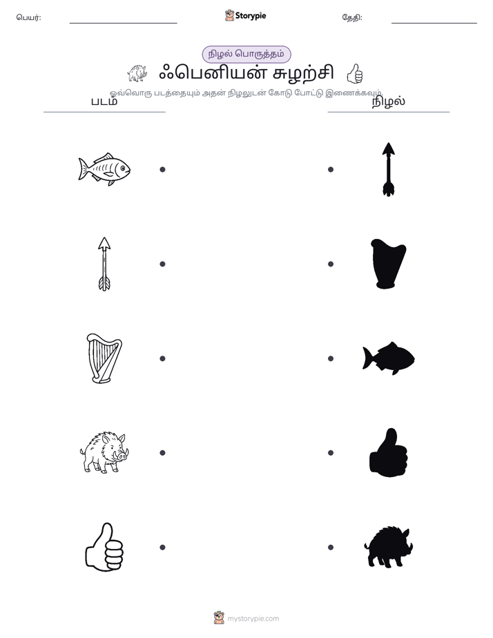 நிழல் பொருத்தம்