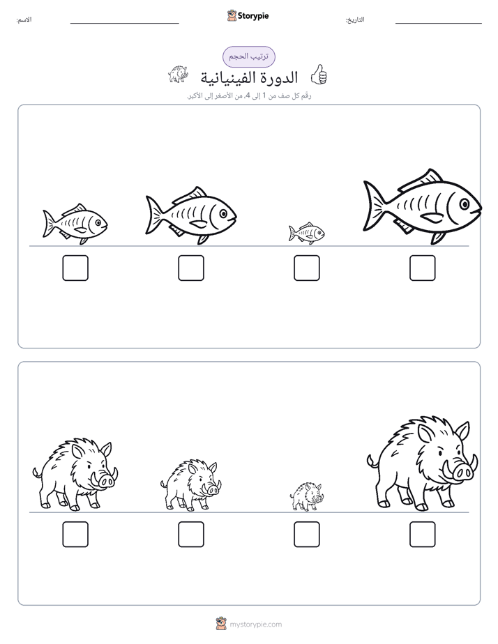 ترتيب الحجم
