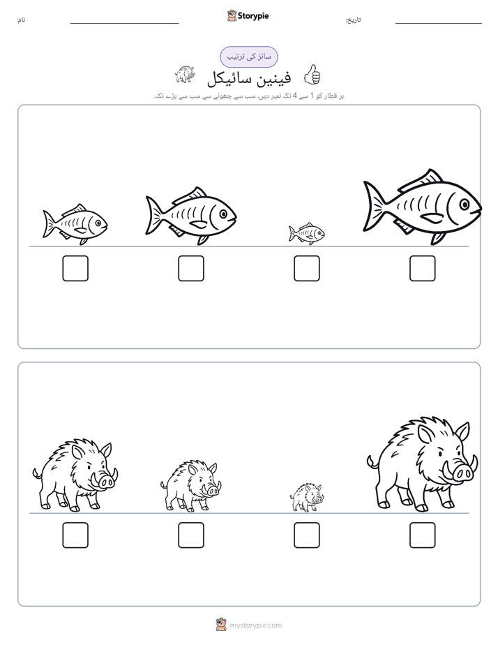 سائز کی ترتیب