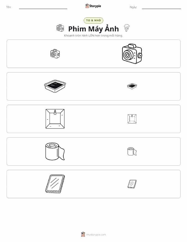 Phân Loại