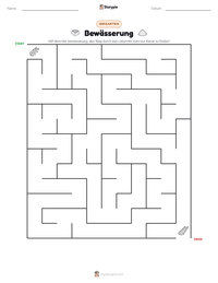 Bewässerung druckbare Arbeitsblatt Vorschau