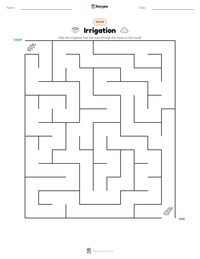 Irrigation printable worksheet preview