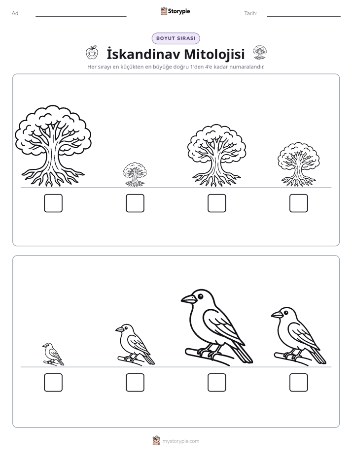 Boy Sıralaması