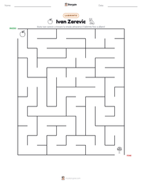 Anteprima della scheda stampabile di Ivan Zarevic