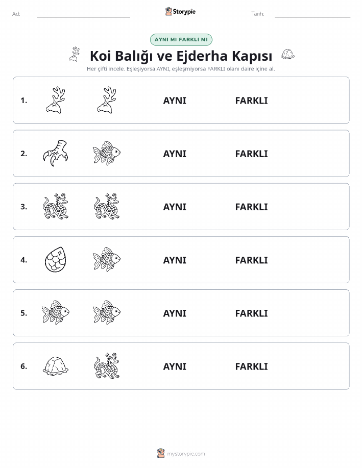 Aynı mı Farklı mı