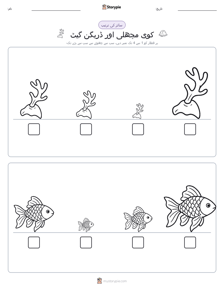 سائز کی ترتیب