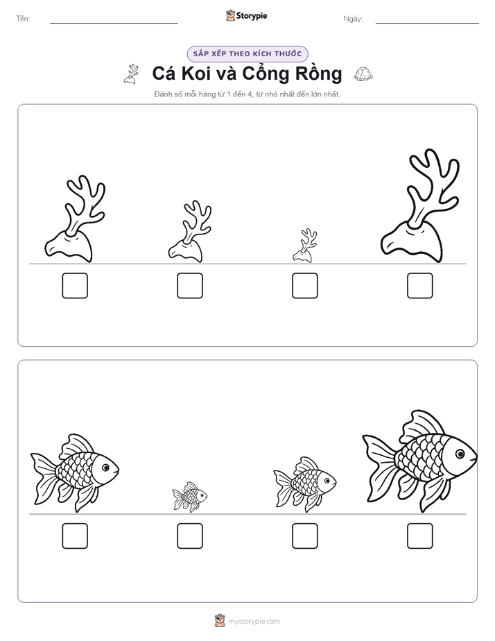 Thứ Tự Kích Thước