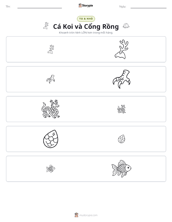Phân Loại