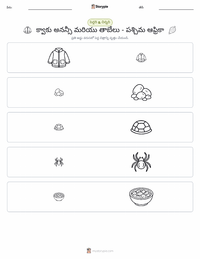 క్వాకు అనన్సి మరియు తాబేలు - పశ్చిమ ఆఫ్రికా ముద్రించదగిన పని పత్రం ప్రివ్యూ