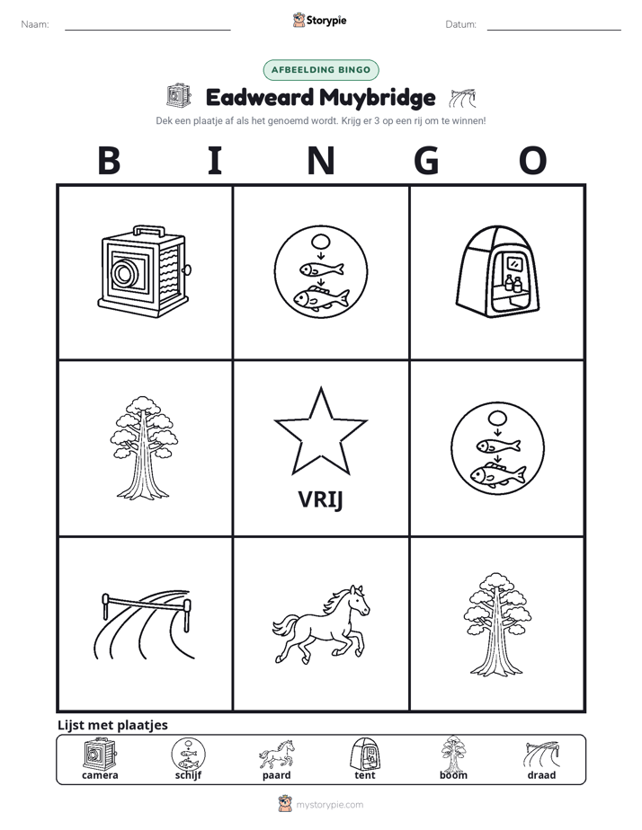 Afbeelding Bingo
