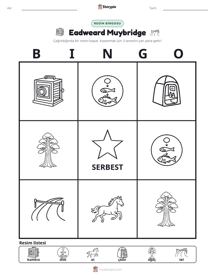 Resim Bingo