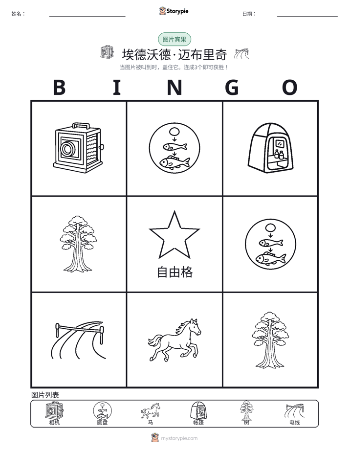 图片宾果