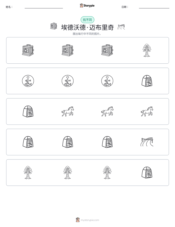 找不同