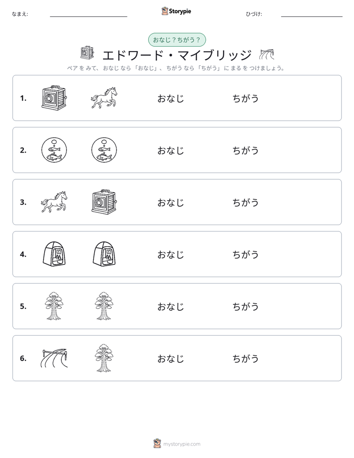 同じか違うか