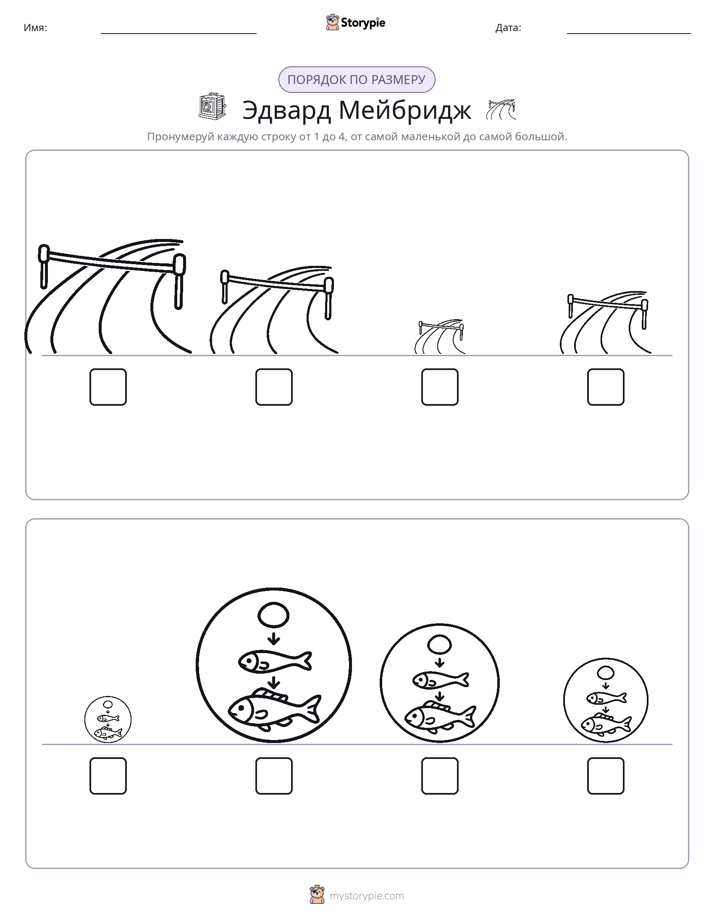 Размеры в порядке