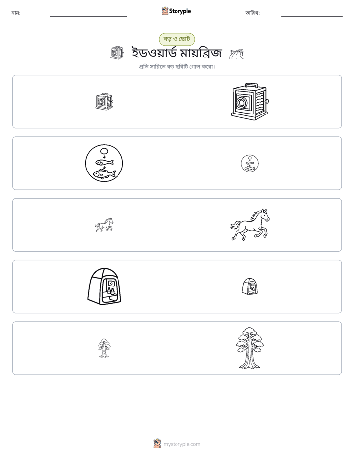 সাজানো