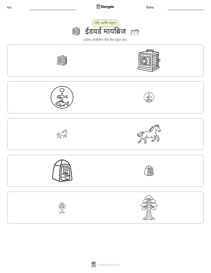 वर्गीकरण