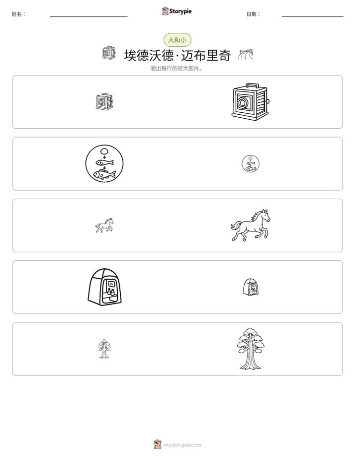 分类
