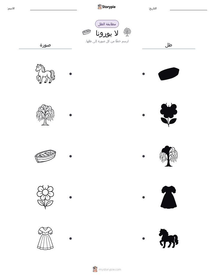 مطابقة الظل