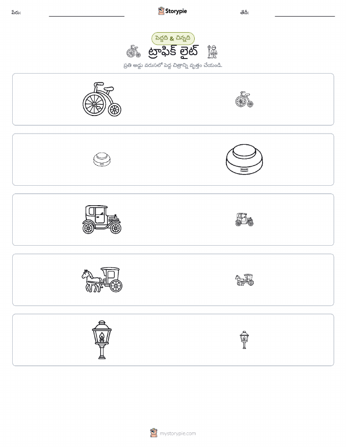 వర్గీకరణ
