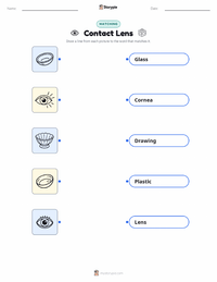 Contact Lens printable worksheet for kids