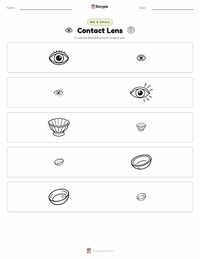 Contact Lens printable worksheet preview