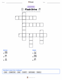 Flash Drive printable worksheet preview