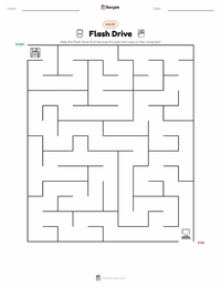 Flash Drive printable worksheet preview