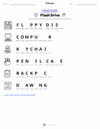 Flash Drive printable worksheet preview