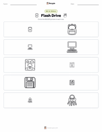 Flash Drive printable worksheet preview